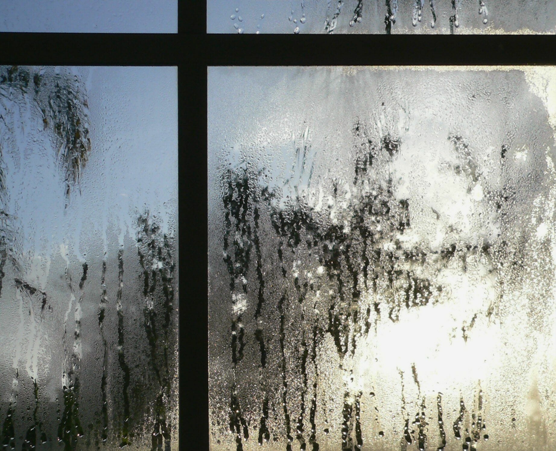 Great Answers Why is there condensation on my new windows? GuildQuality Customer
